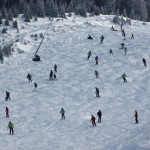 rogla