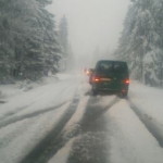 sneg-rogla