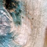 Fotografija Segment beneškega polkna