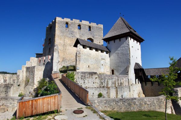 Stari grad Celje