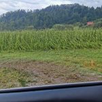 IMG-20230720-WA0008