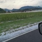 IMG-20230720-WA0012