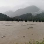 celjan 1