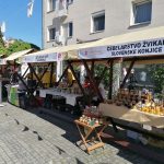 IMG_20260425_160438_2