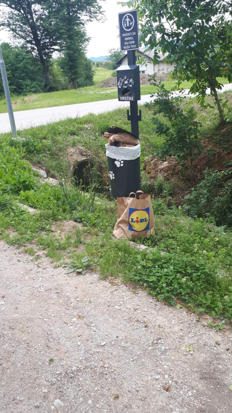 Celje: Koški niso za gospodinjske odpadke